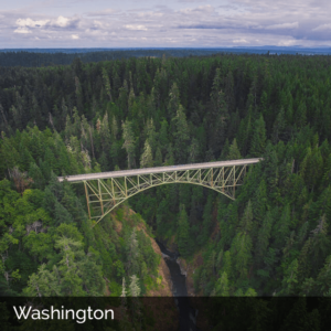 Washington state woods with bridge spanning ravine
