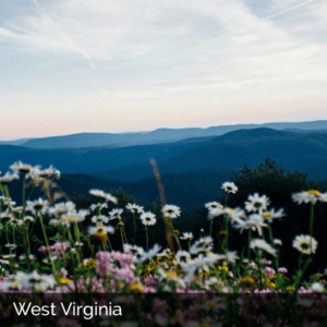 West Virginia white flowers in foreground and blue hills behind