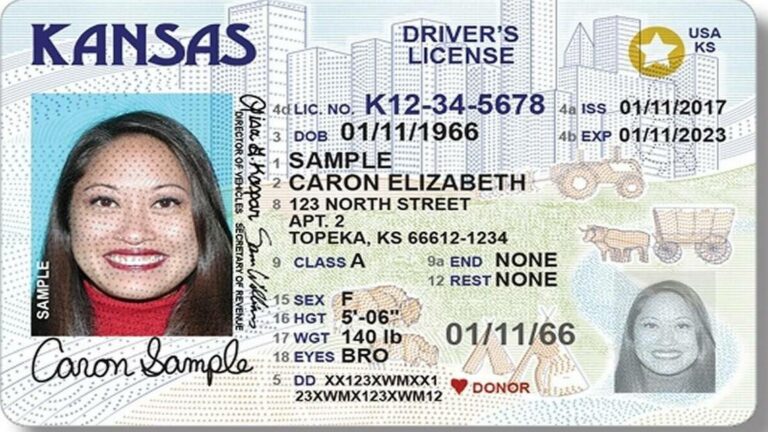 Kansas adds option to take driver's license exam online – ITI